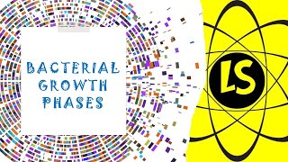 Bacterial Growth Phases [upl. by Auos]