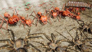 THE GREAT SPIDER REVOLT  Empires Of The Undergrowth  Ep19 [upl. by Micheline]