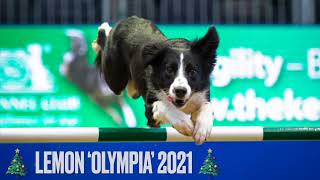 Lemon Winning Olympia London International Horse Show 2021 [upl. by Aital]