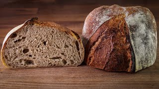 How To Bake Your FIRST SOURDOUGH Bread  Detailed Beginners Guide [upl. by Enelcaj404]