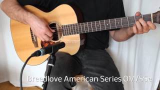 Martin vs Eastman vs Breedlove Fingerstyle Guitar Sound Comparison [upl. by Leatri]