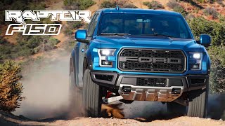 Ford F150 Raptor Extreme OffRoad Review  Carfection 4K [upl. by Myrtice139]