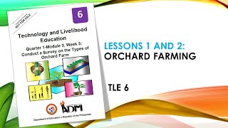 Types of orchards  TLE 6 Module 3 [upl. by Akanke]