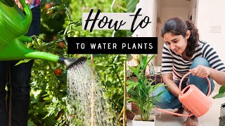 Correct Way of Watering Plants Gardening Basics Part 3 [upl. by Ancilin]