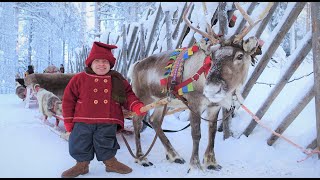 Kilvo Elf visiting Santa Claus Village🦌🎅 Rovaniemi Lapland Finland Arctic Circle Father Christmas [upl. by Htebazila327]