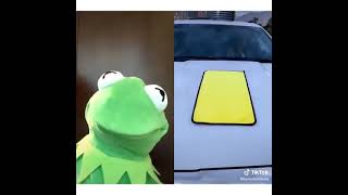 Funny Kermit the frog videos of 2020 Part 2 [upl. by Atte]