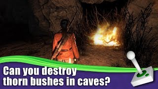 How to destroy thorn bushes in caves  Rise of the Tomb Raider [upl. by Spark]