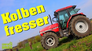 Kolbenfresser  Einfach Bauer und Farmsaat [upl. by Enimasaj]