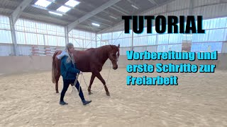 TUTORIAL  Vorbereitung und erste Schritte der Freiarbeit  So bleibt dein Pferd bei Dir [upl. by Nesrac]