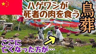 【中国06】衝撃映像！人骨をつつくハゲワシ…郎木寺での鳥葬｜ラルンガルゴンパ色達での鳥葬も併せてどうぞ [upl. by Yxel]