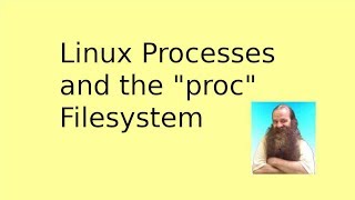 Linux Processes and the proc File System [upl. by Aeneg]