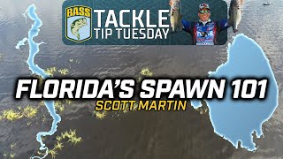 Scott Martin breaks down Floridas Spawn Cycle [upl. by Nnav921]