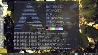 How to Use USB to Serial Adapter Setup in Linux [upl. by Odelia]