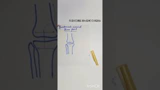 Genicular anastomosis  Anastomosis around Knee joint  YT shorts  Medico Pedia [upl. by Kayla]