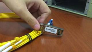 How to install and remove 10G SFP SR Modules [upl. by Unhsiv892]