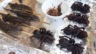 Amazing STREET FOOD VIETNAM  EAT SCORPIONS WORM INSECTS [upl. by Felicdad]