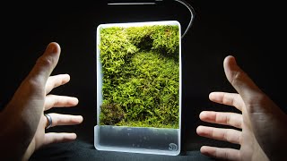 Mini SelfWatering Moss Wall [upl. by Holden]