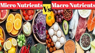 10 Essential Macronutrients and Micronutrients for a Healthy Body [upl. by Crabb191]