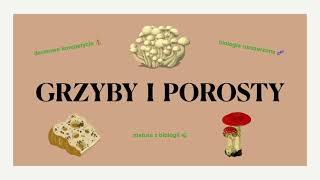 9 Grzyby i porosty  budowa cykle rozwojowe  matura z biologii đźŤ„ darmowe korepetycje đź’° liceum [upl. by Locin]