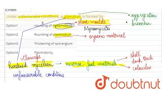 Under unfavourable conditions a sclerotium is formed by [upl. by Klemens]