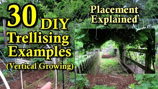 30 DIY Garden Trellising Examples Build Overview Crop Examples amp Placement Strategies [upl. by Hcelemile37]