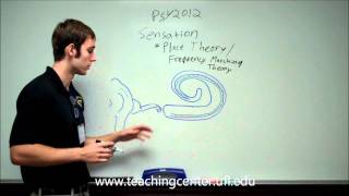 Place Theory and Frequency Matching Theory [upl. by Leandro]