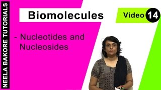 Biomolecules  NEET  Nucleotides and Nucleosides  Neela Bakore Tutorials [upl. by Jodoin433]