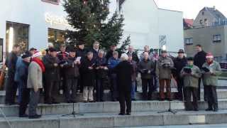 Weihnachten mit dem Colditzer Männerchor [upl. by Rubel]