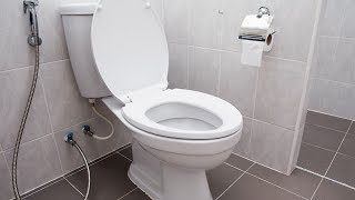 How To Fix a Leaking Toilet [upl. by Narba]