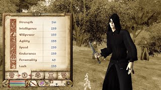 Oblivion How to Integer Underflow Attributes with Felldew [upl. by Nylsaj]