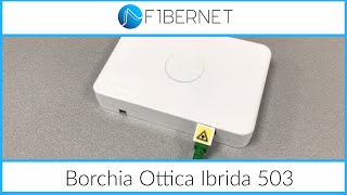 Borchia ibrida Fibernet installabile a muro o su scatola 503 [upl. by Lorou]