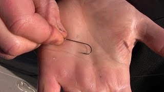 How to Rig a Live Minnow for Maximum Action  Different Ways to Hook Minnows [upl. by Ajiat923]