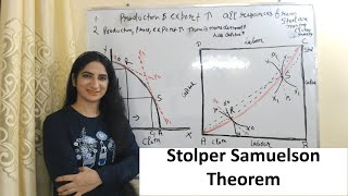 Stolper Samuelson Theorem [upl. by Noleta]