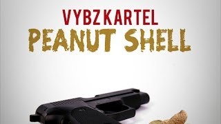 Vybz Kartel  Peanut Shell Mi Nuh Fraid Steppa Riddim Feb 2013 [upl. by Enimsaj]