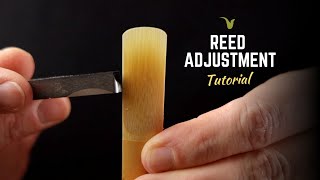 How to Improve Every Saxophone Reed [upl. by Ruthe]