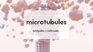 Microtubules tentpoles amp railroads [upl. by Emya]