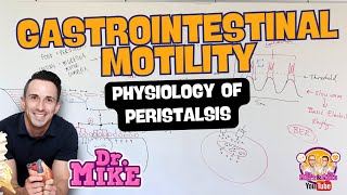 Motility of the Gastrointestinal Tract  Peristalsis Physiology [upl. by Grondin64]