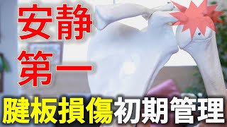 【腱板損傷3】腱板損傷初期の改善方法絶対やらなければいけない『安静』を保つ方法を徹底解説 [upl. by Norward]