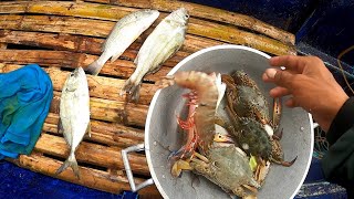 Pagtaan ng lambat assorted fish Catch and cook [upl. by Toth]