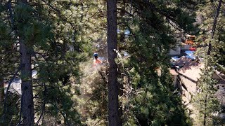 Mowbrays Tree Service  Demag Crane in Crestline CA [upl. by Abell]