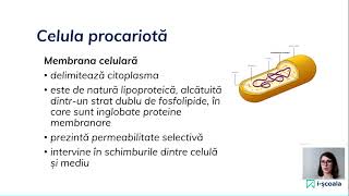 Biologie pentru Bacalaureat  Celula procariotă și celula eucariotă [upl. by Claudianus534]