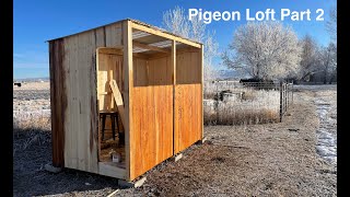 Pigeon Loft Build Part 2 [upl. by Atirres]