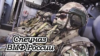 Спецназ ВМФ России  Russian military [upl. by Haliled]