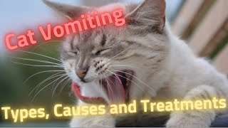 cat vomiting types causes and treatments [upl. by Mori]