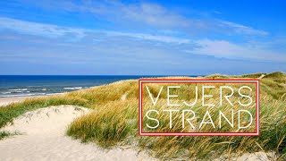 Denmark  Vejers Strand Nature Beach and Sceneries [upl. by Lamoree]