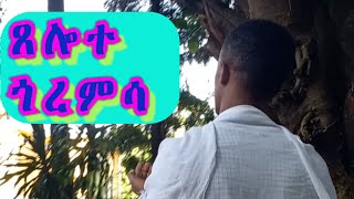 ጸሎተ ጎረምሳ Tselote goremsa [upl. by Garges630]