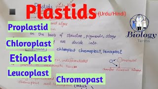 Plastids structure and function  Chloroplast Chromoplast Leucoplast class 11class 9 [upl. by Neelhtak]