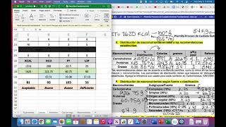 Video 8 Uso de plantilla excel equivalentes [upl. by Oirad]