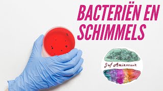 Bacteriën en schimmels reducenten en voedselbederf VMBO [upl. by Scheers476]