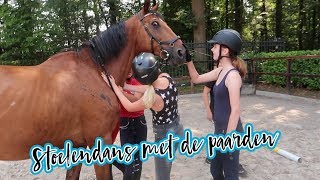 Zonder zadel rijden  Ponykamp dag 2  VLOG76 [upl. by Deste]